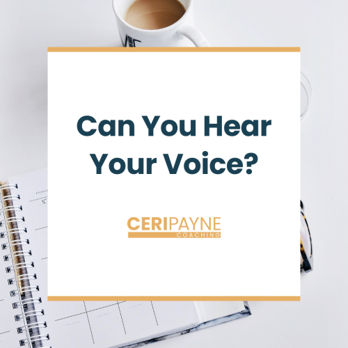 Can You Hear Your Voice - Blog