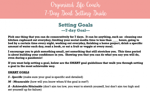Goal Setting Guide